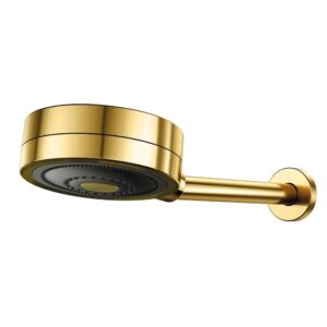 Chuveiro Novo Technoshower Ouro Polido Docol